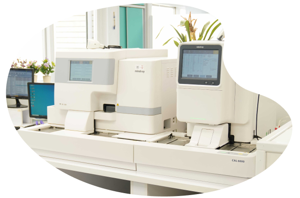 lab