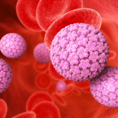 Blood cells and papilloma virus in the vein