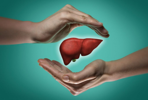 fattyliver