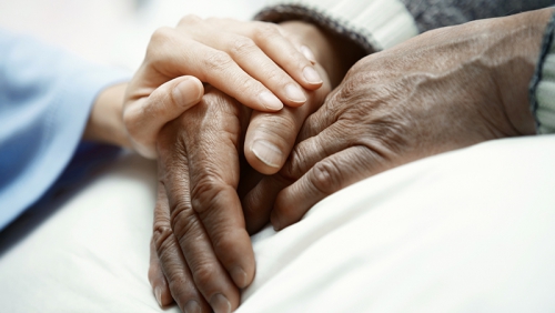hand of woman touching senior man