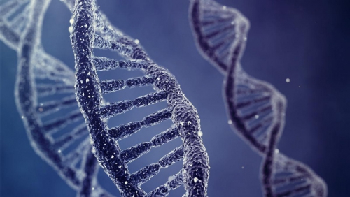 Cytogenetics