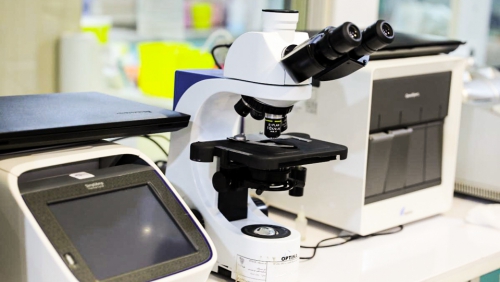 Molecular genetics